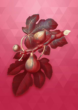 Gold Fig on Viva Magenta