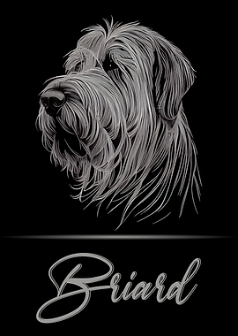 Elegant Briard