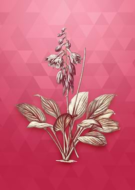 Daylily on Viva Magenta