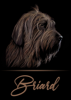 Briard