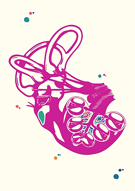 Cochlea of Inner ear