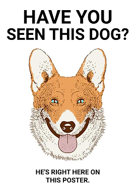 HAVE YOU SEEN THIS DOG