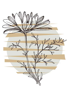 Chamomile and Daisy wheel