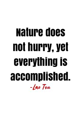 Lao Tzu Quote