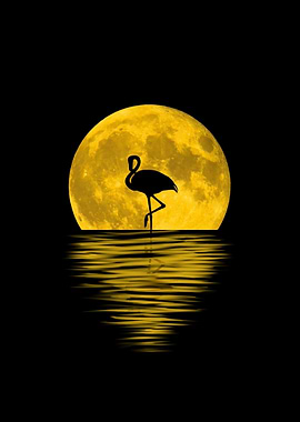 Flamingo Moon
