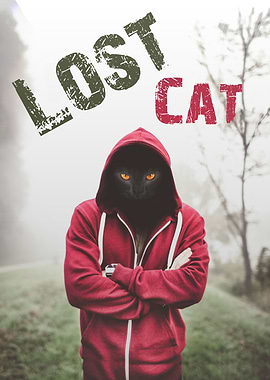 Lost Cat Hooded in Forest