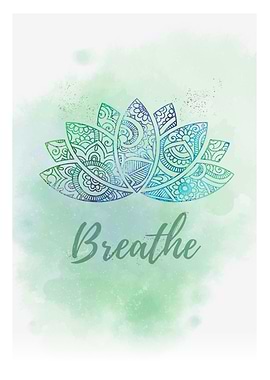 lotus flowe yoga meditate