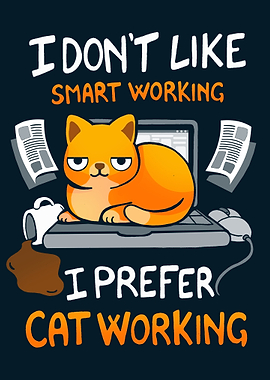 Cat Working