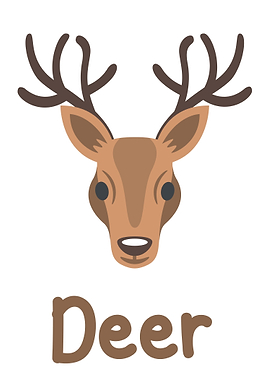 Deer