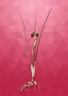 Vintage Gold Snakes Head