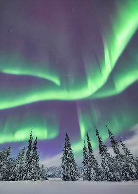 christmas night decor