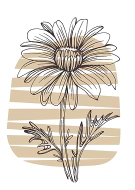 Chamomile and Daisy wheel