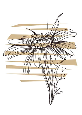 Chamomile and Daisy wheel