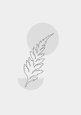 fern line art
