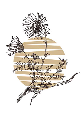 Chamomile and Daisy wheel