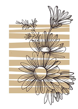 Chamomile and Daisy wheel