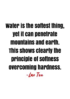 Lao Tzu Quote