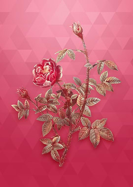 Moss Rose on Viva Magenta