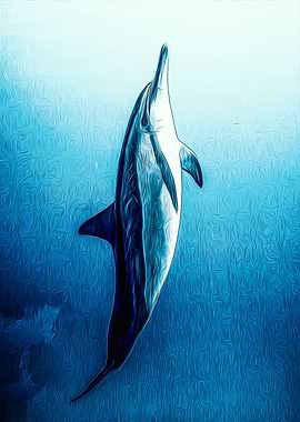 Dolphin