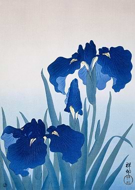Ohara Koson Iris Flowers