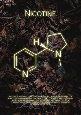 Nicotine Molecule