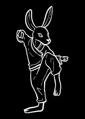 Rabbit Ninja Karate Martia