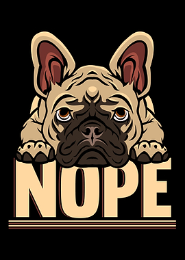 Nope Lazy English