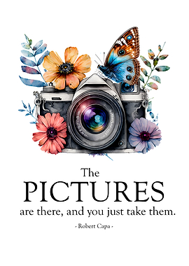 The pictures are there