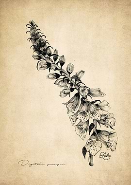 purple digital herbarium