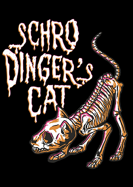 Schrdingers cat funny