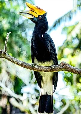 Hornbill