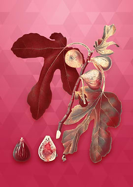 Gold Figs on Viva Magenta