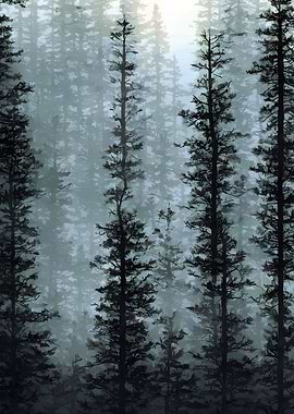 Foggy pine trees forest