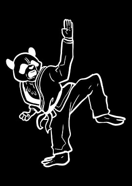 Panda Bear Karate Martial