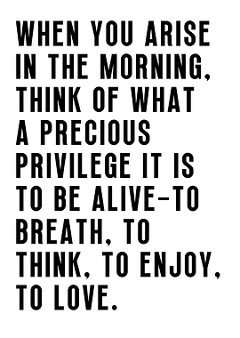 Marcus Aurelius Stoic