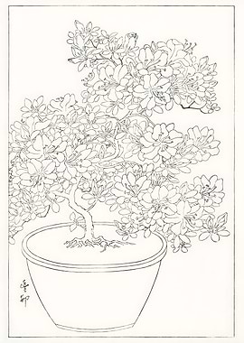 Ukiyoe Minimalist Floral