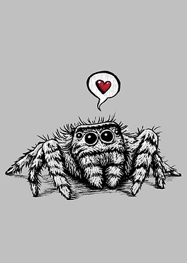 Spider Love