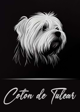Cute Coton de Tulear