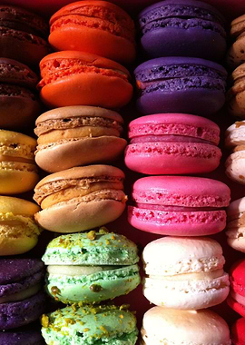 colorful macaroons