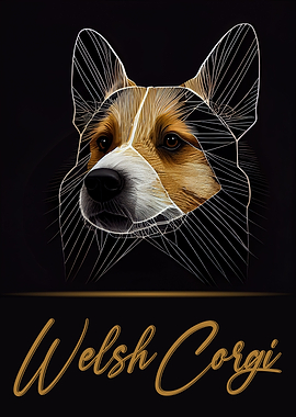 Welsh Corgi