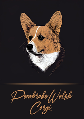 Pembroke Welsh Corgi