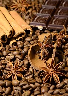 Brown Spice collection