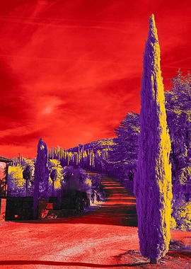 Apocalyptic Landscape