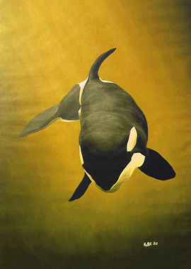 She Wolf Killer Whale