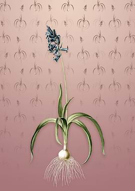 Vintage Common Bluebell