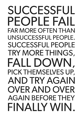 Successful People Fail