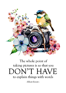 Dont have to explain