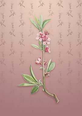 Vintage Pink Flower