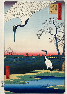 Japanese Cranes