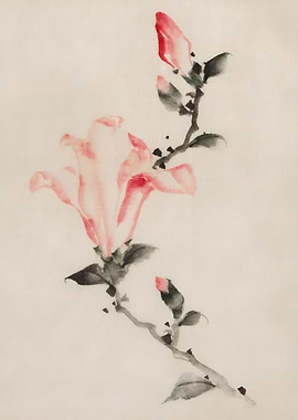 Ukiyo e Magnolia